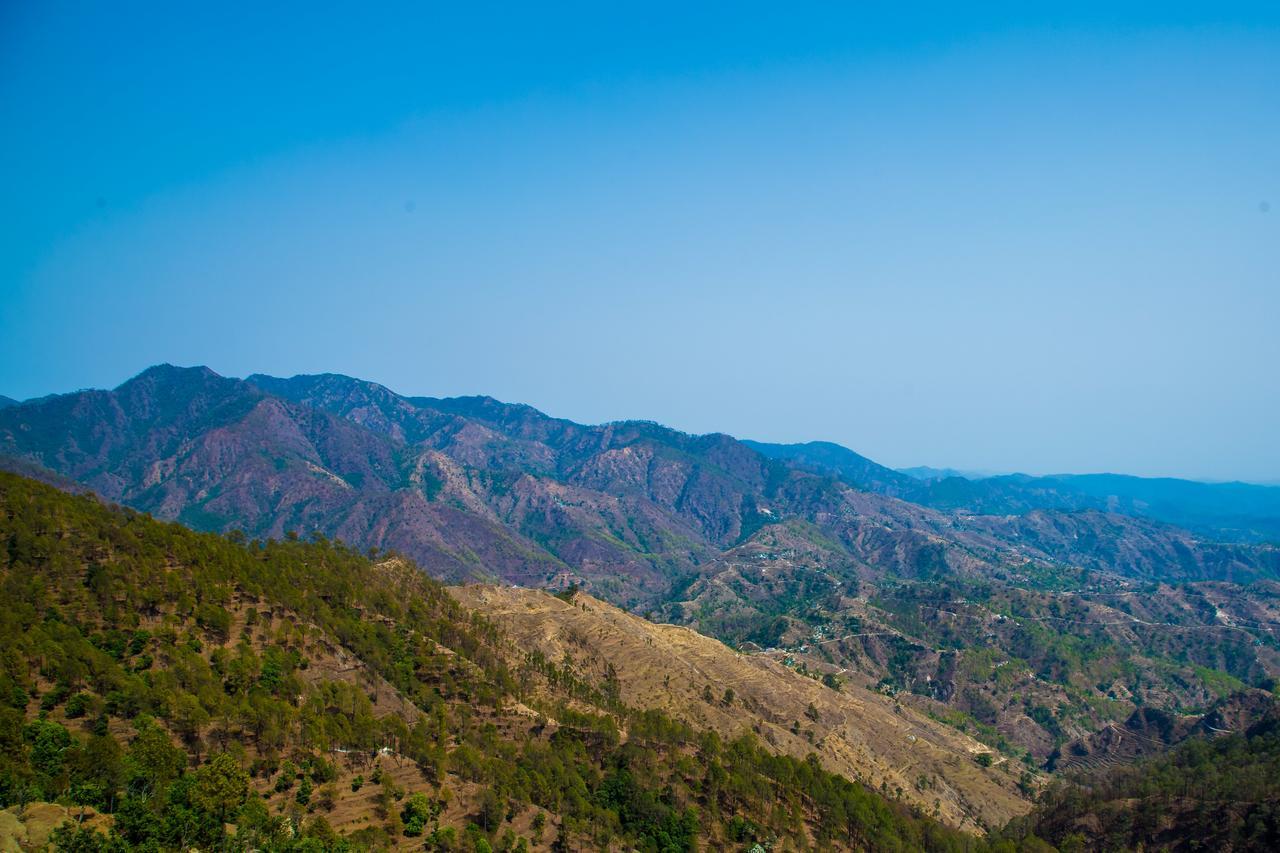 高山度假村 兰斯顿 外观 照片